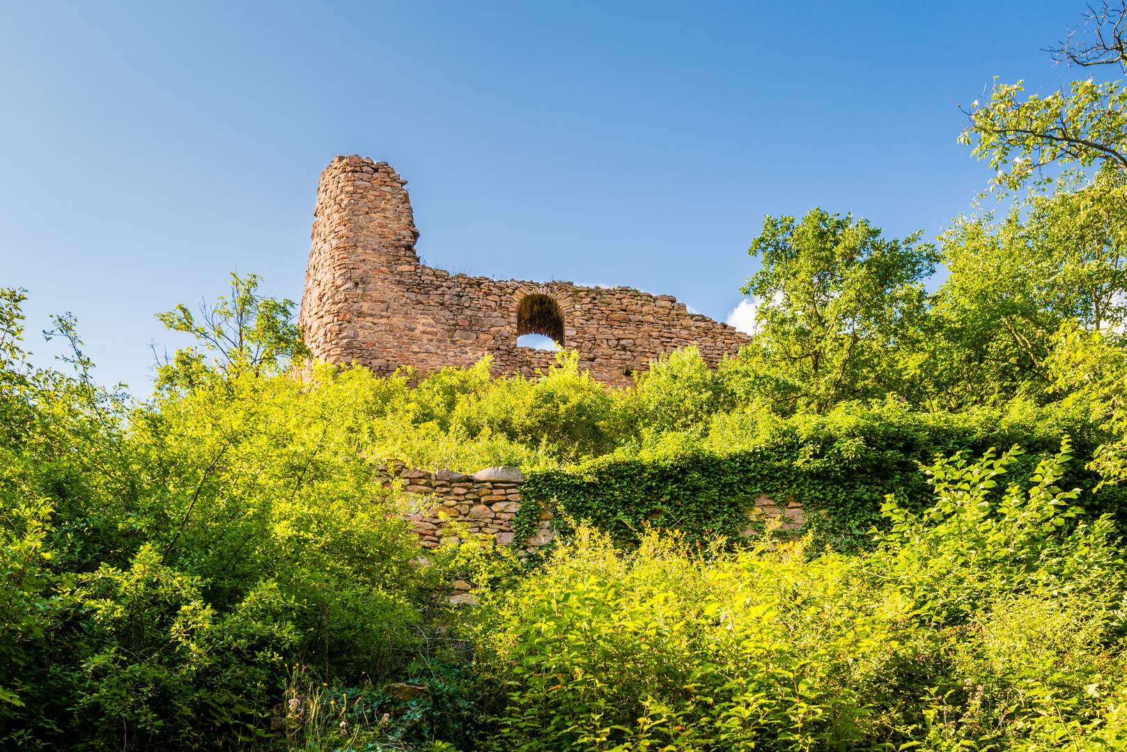 Burgruine Montfort 05