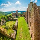 Burgruine Montfort (2)