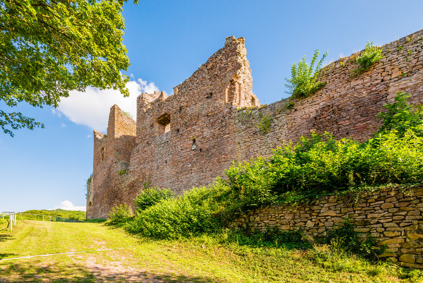 Burgruine Montfort 94