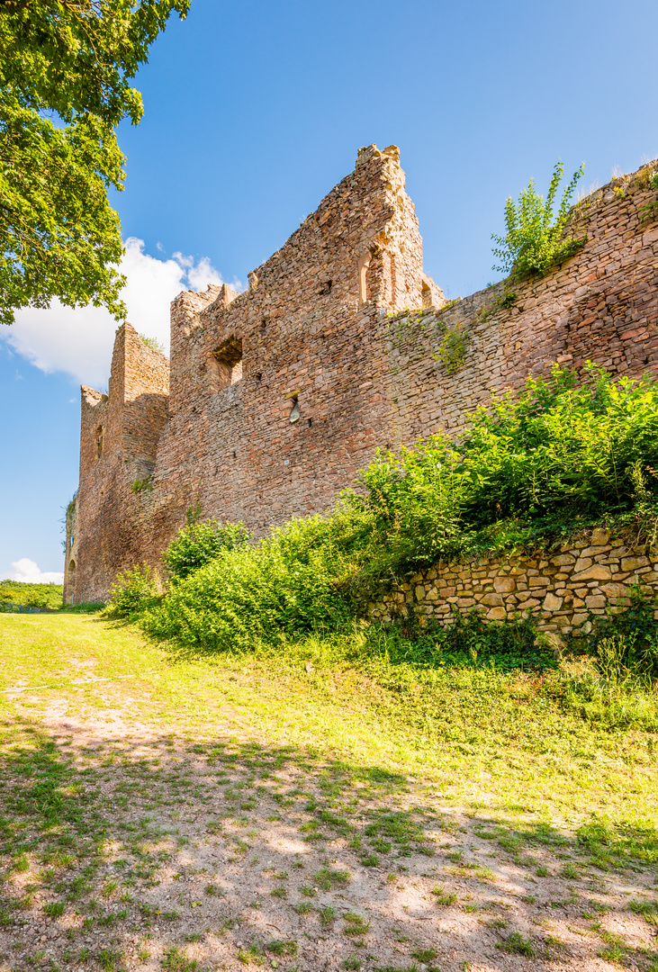 Burgruine Montfort 95