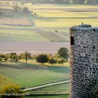 Burgruine Münzenberg im Herbst