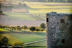 Burgruine Münzenberg im Herbst