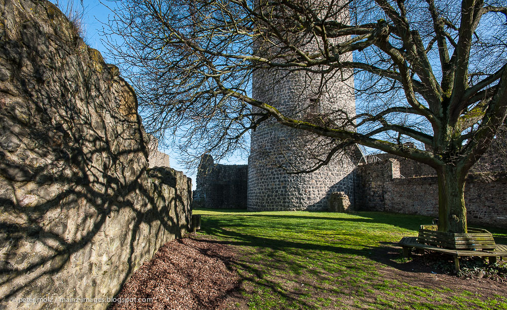 Burgruine Münzenberg im März 2014 (3)