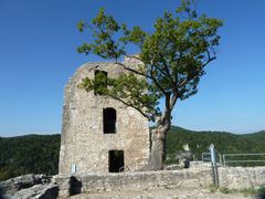 Burgruine Neideck (1)