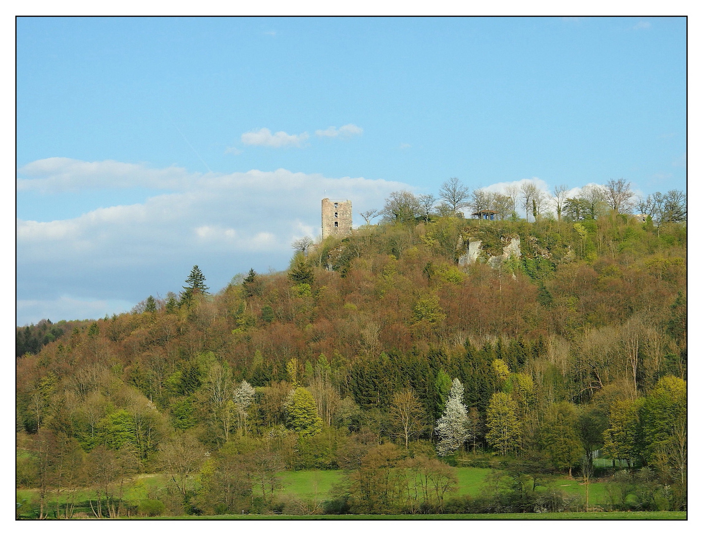 Burgruine Neideck