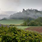 Burgruine Neideck