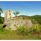 Burgruine Neideck