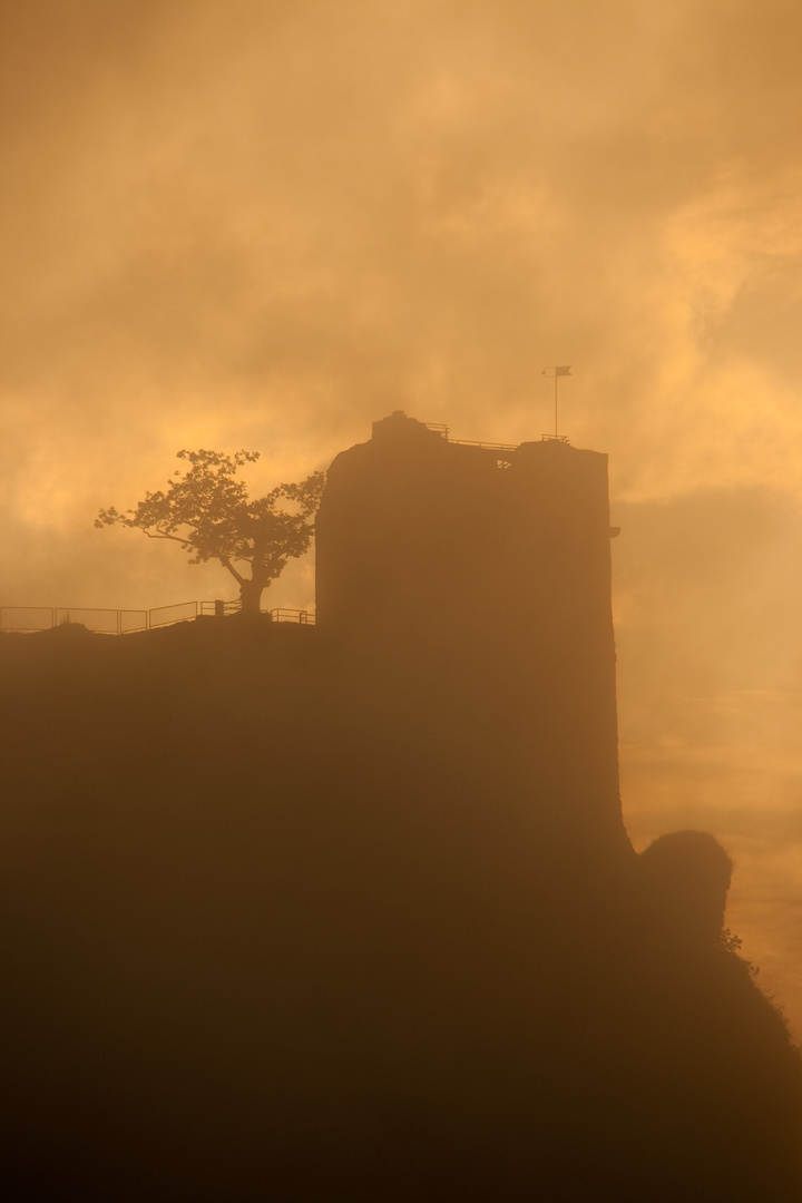 Burgruine Neideck im Nebel 2