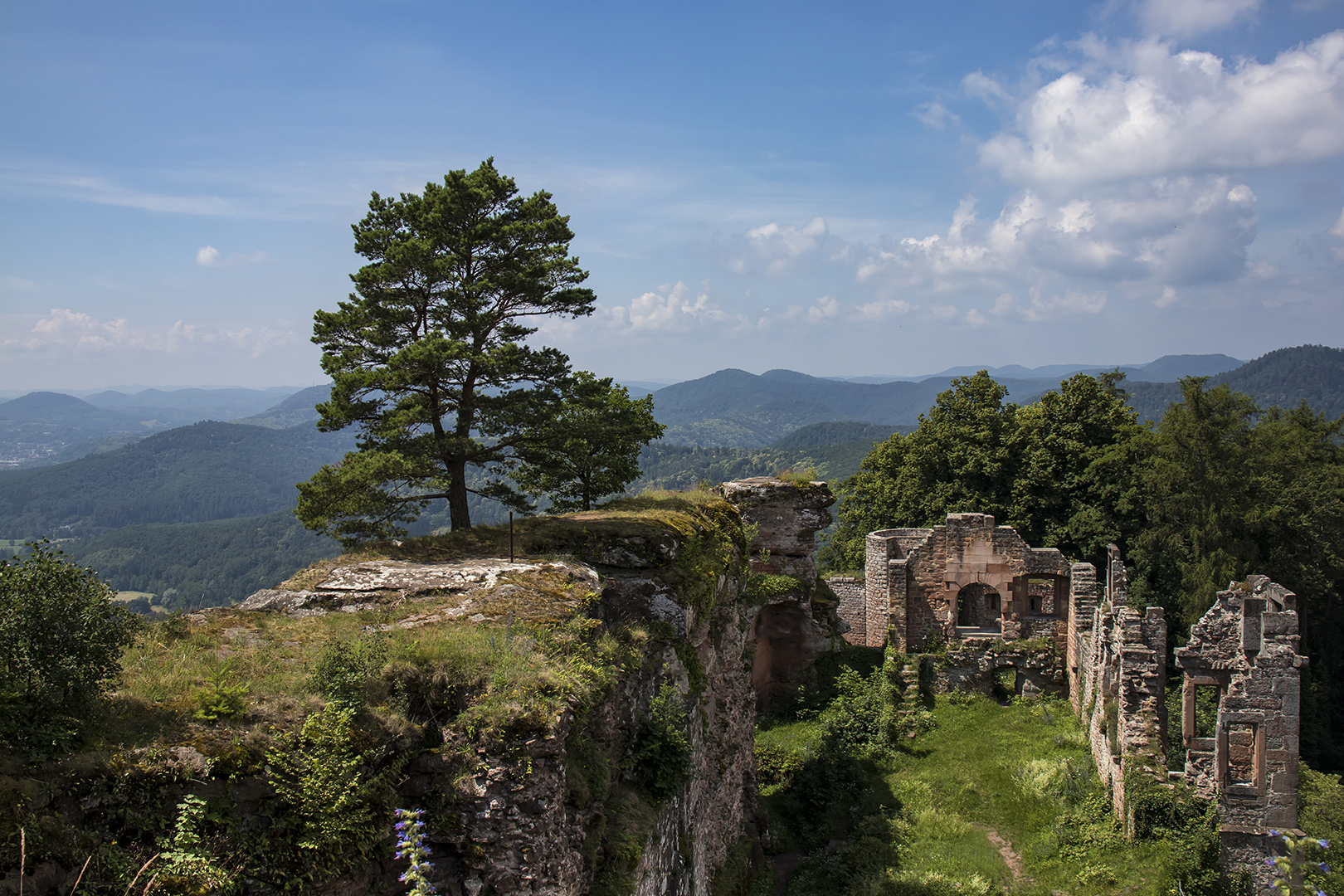 Burgruine Neu-Scharfeneck