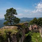 Burgruine Neu-Scharfeneck