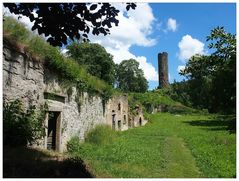  Burgruine Neuberg