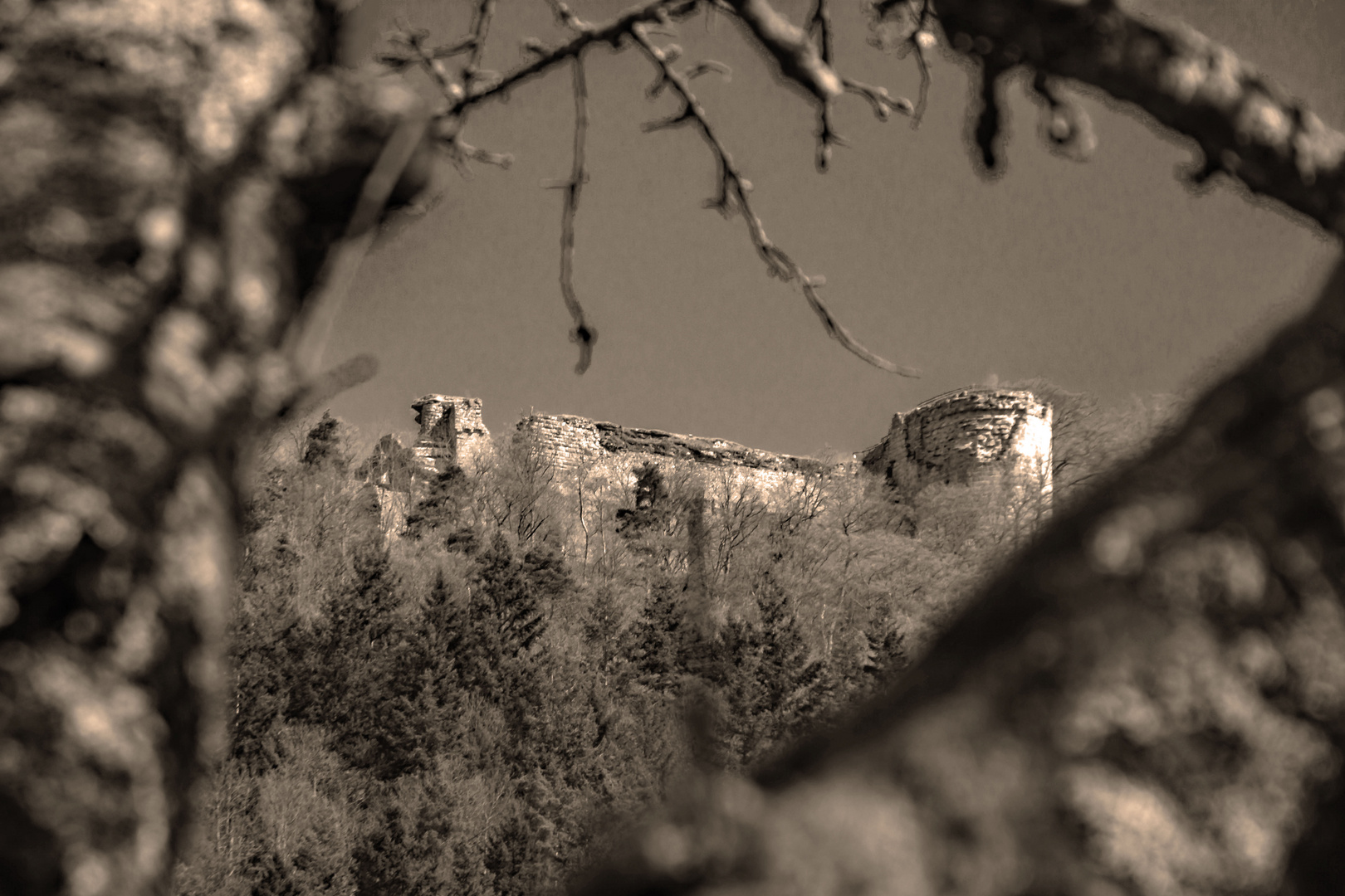 Burgruine Neuscharfeneck....