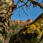 Burgruine Neuscharfeneck