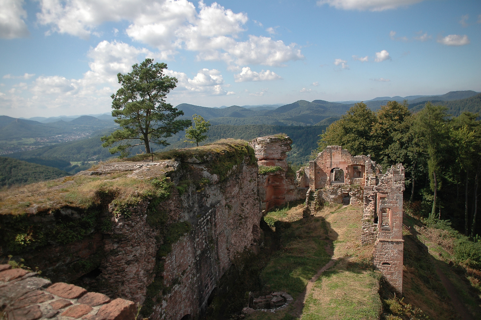 Burgruine Neuscharfeneck (Pfälzerwald)