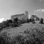 Burgruine Niederhaus