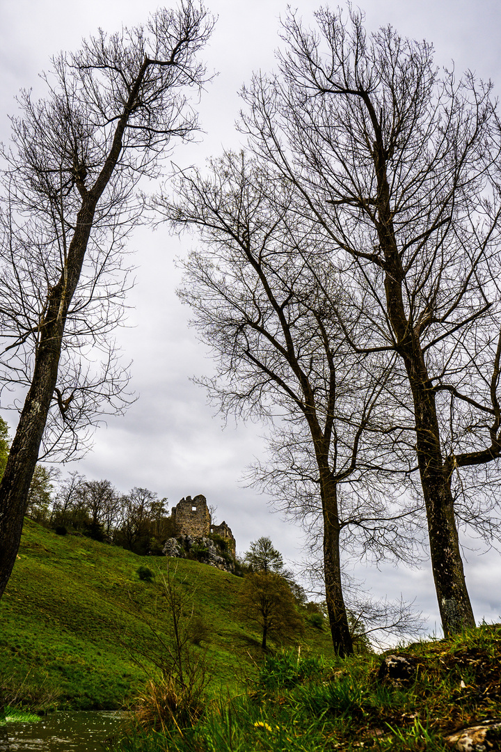 Burgruine Niederhaus - Ruines du château Niederhaus