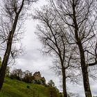 Burgruine Niederhaus - Ruines du château Niederhaus