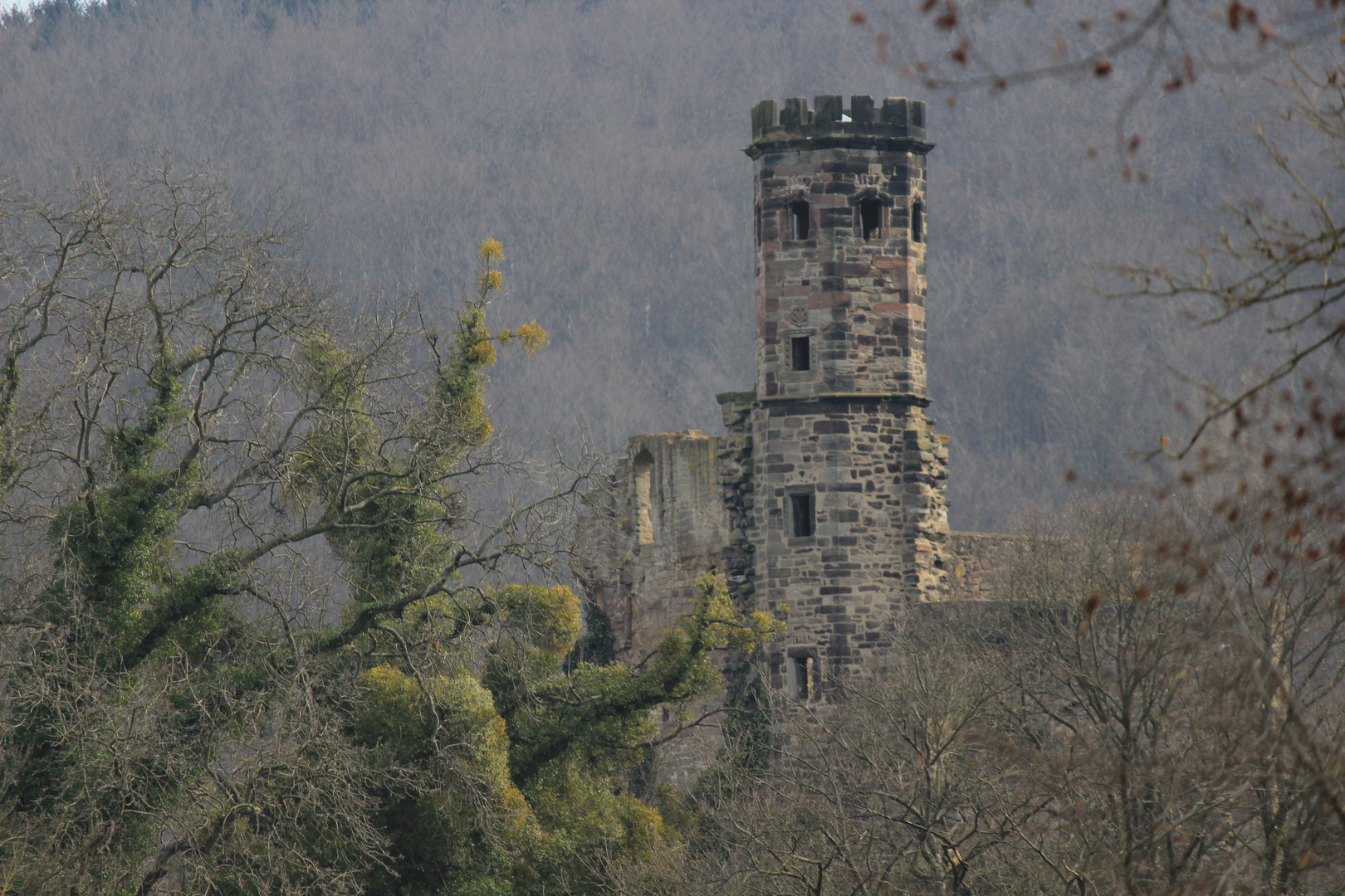 Burgruine Nörten-Hardenberg