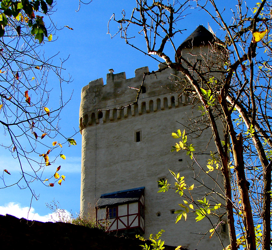 Burgruine Olbrück