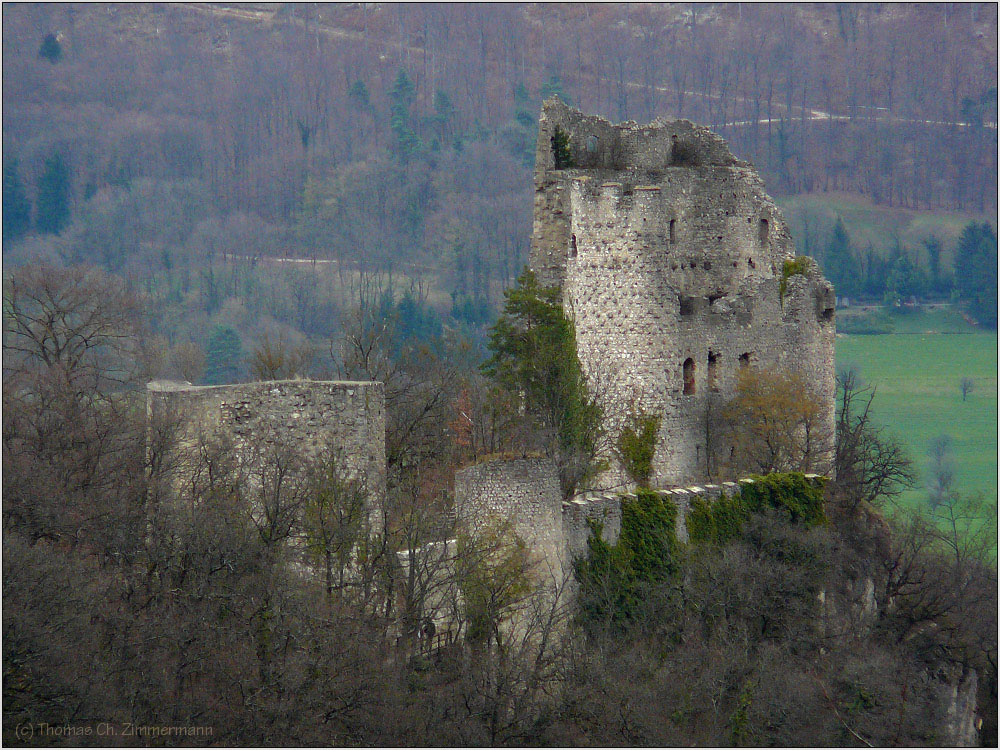 Burgruine Pfeffingen