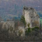 Burgruine Pfeffingen