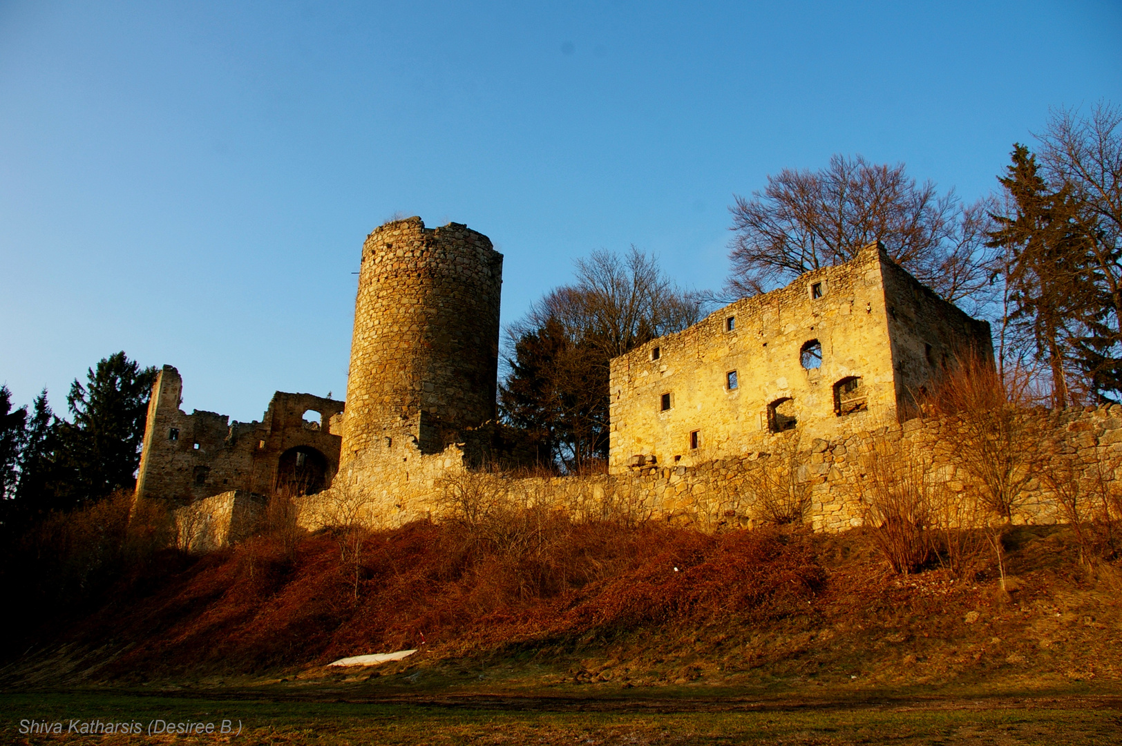 Burgruine Prandegg im Mühlkreis