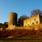 Burgruine Prandegg im Mühlkreis