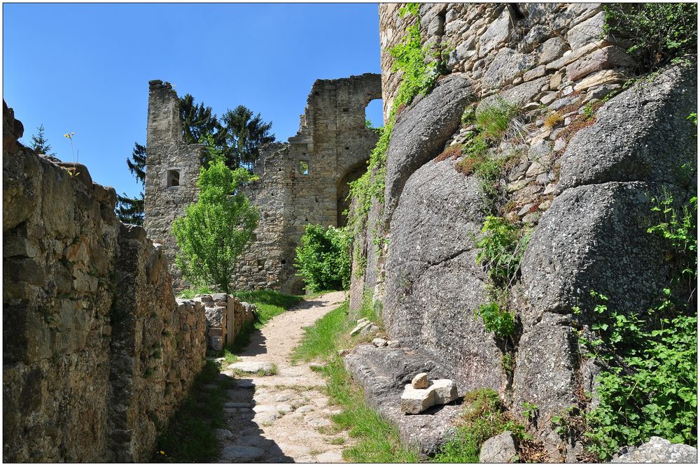 Burgruine Prandegg(3)