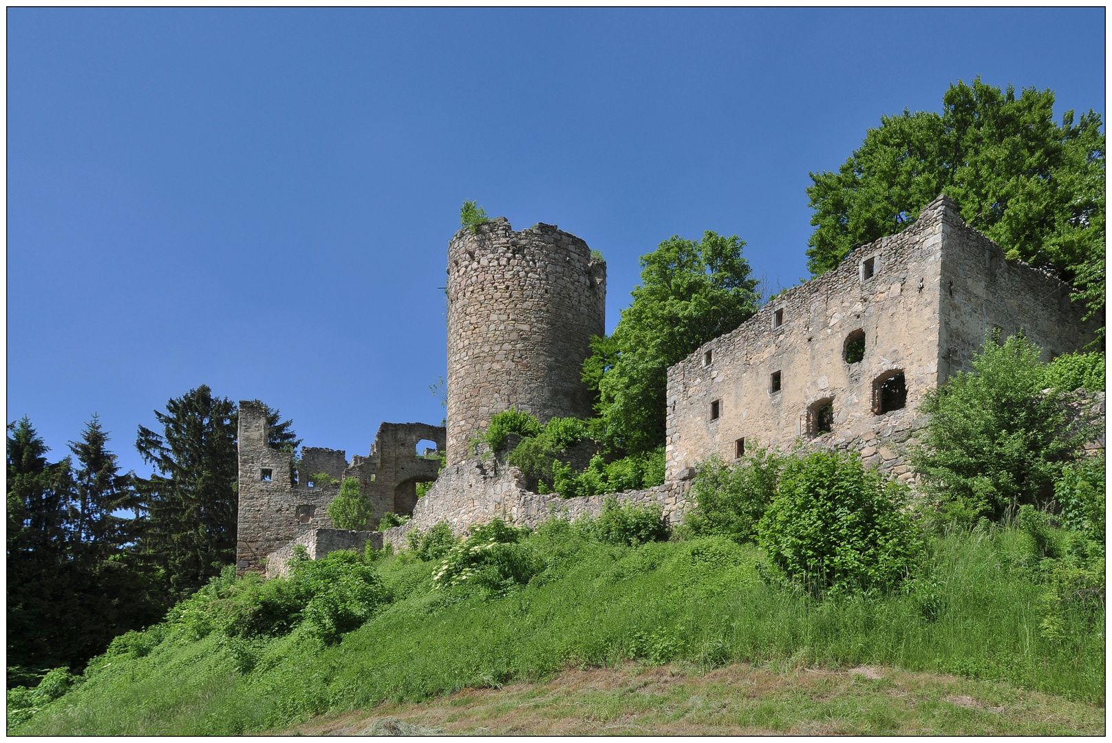 Burgruine Prandegg(6)