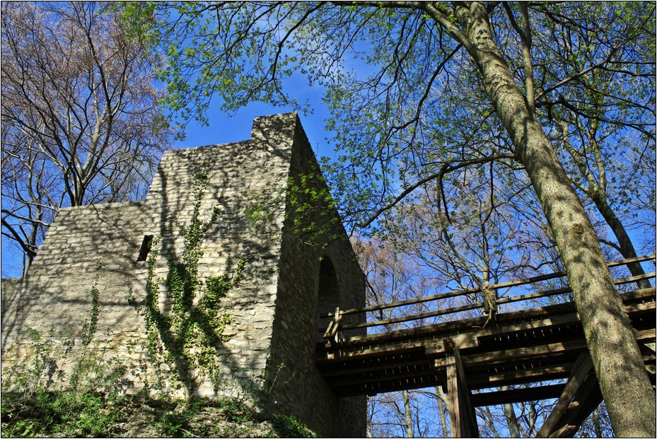 Burgruine Rauber