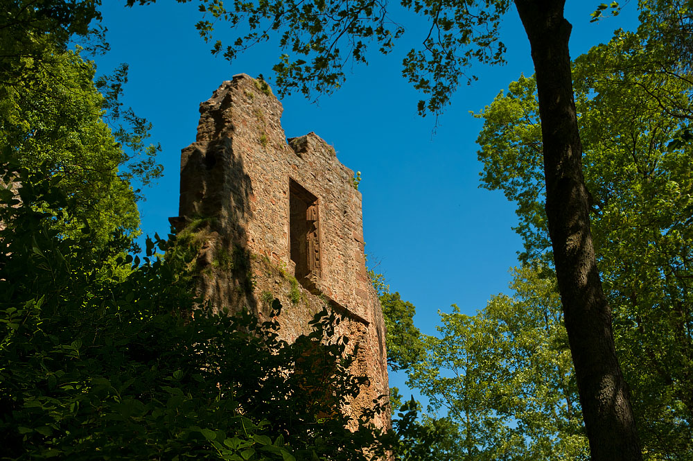 Burgruine Rauschenberg I