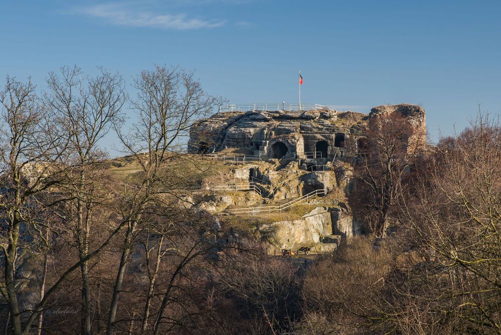 Burgruine Regenstein