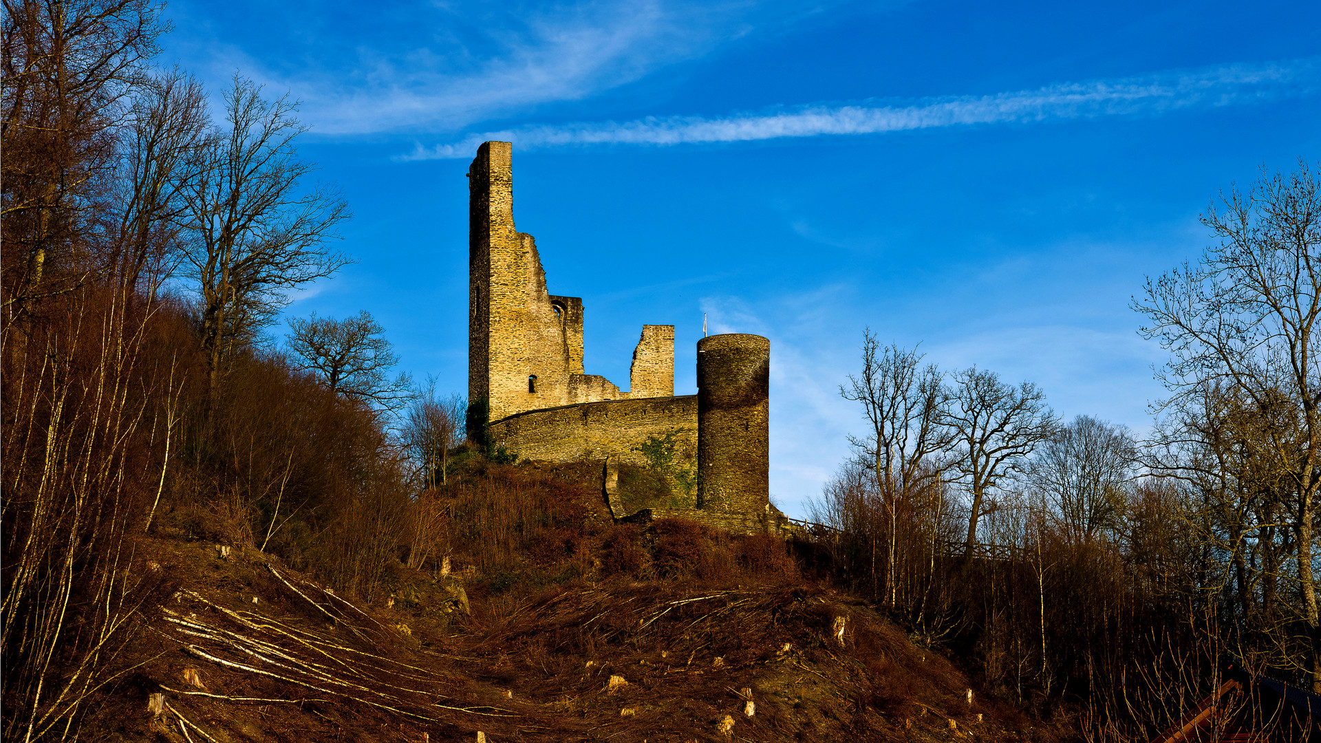 Burgruine Reichenstein, Westerwald