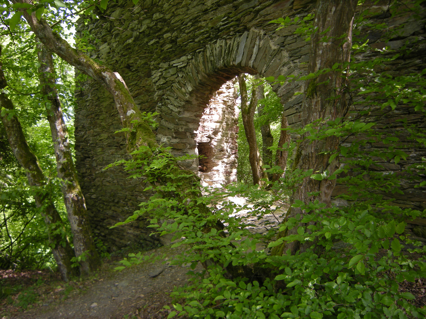 Burgruine Rheinberg im Wispertal