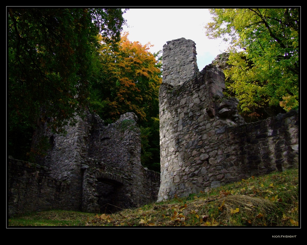 Burgruine Rodenstein