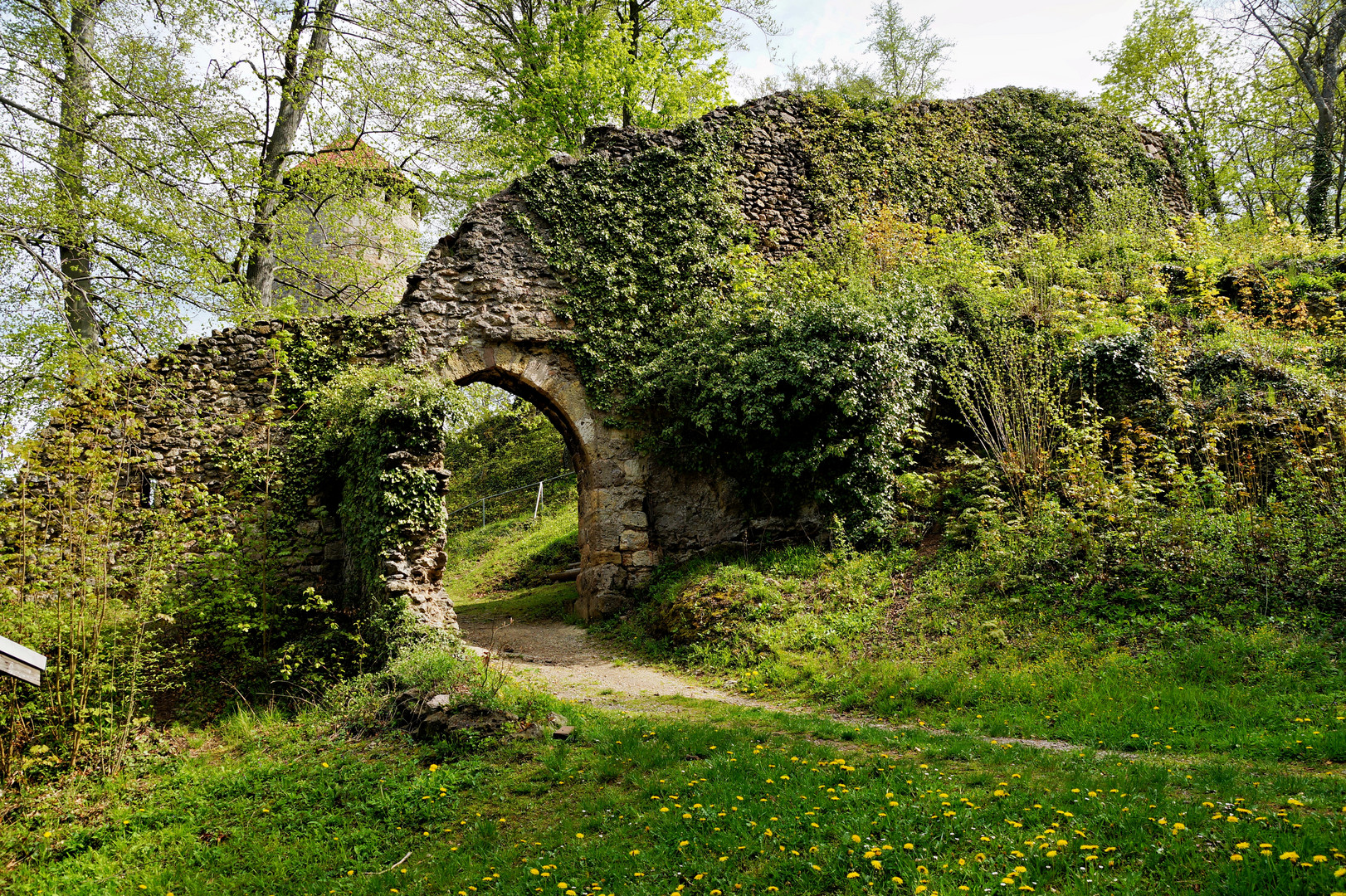 Burgruine Scharfenburg