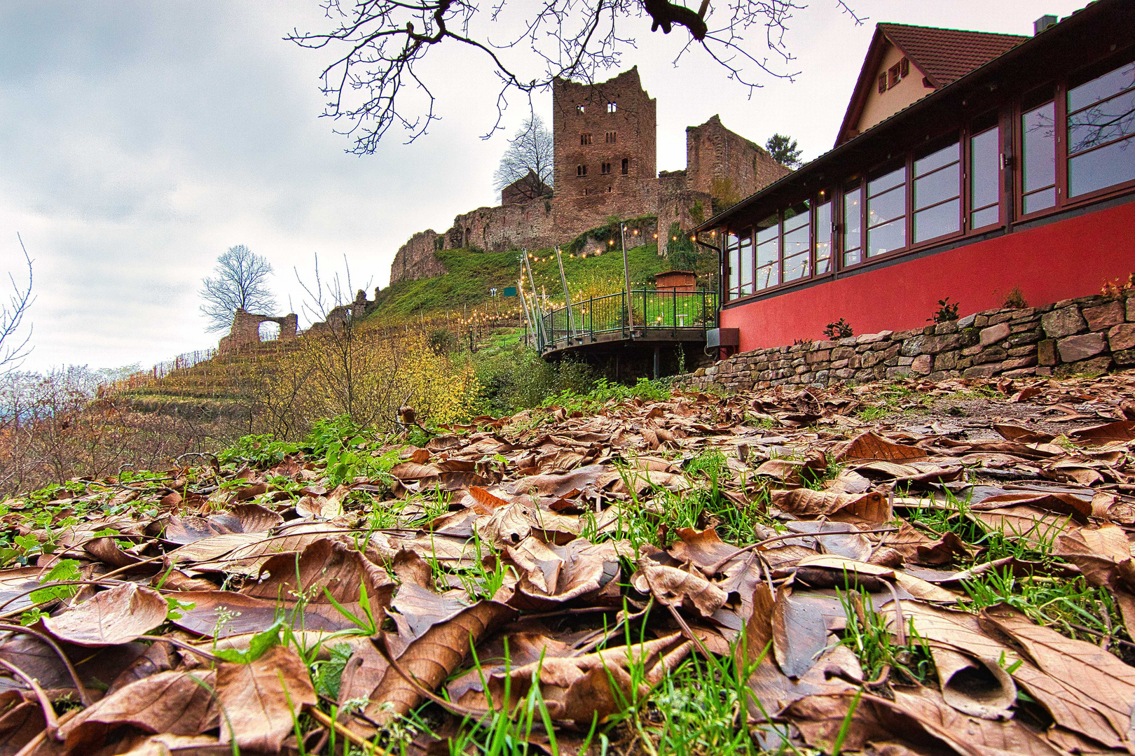 Burgruine Schauenburg im Advent