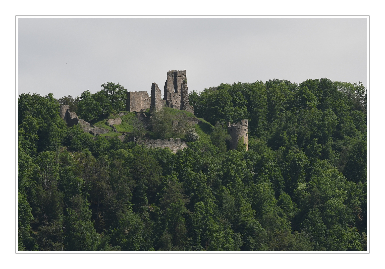 Burgruine Schenkenberg