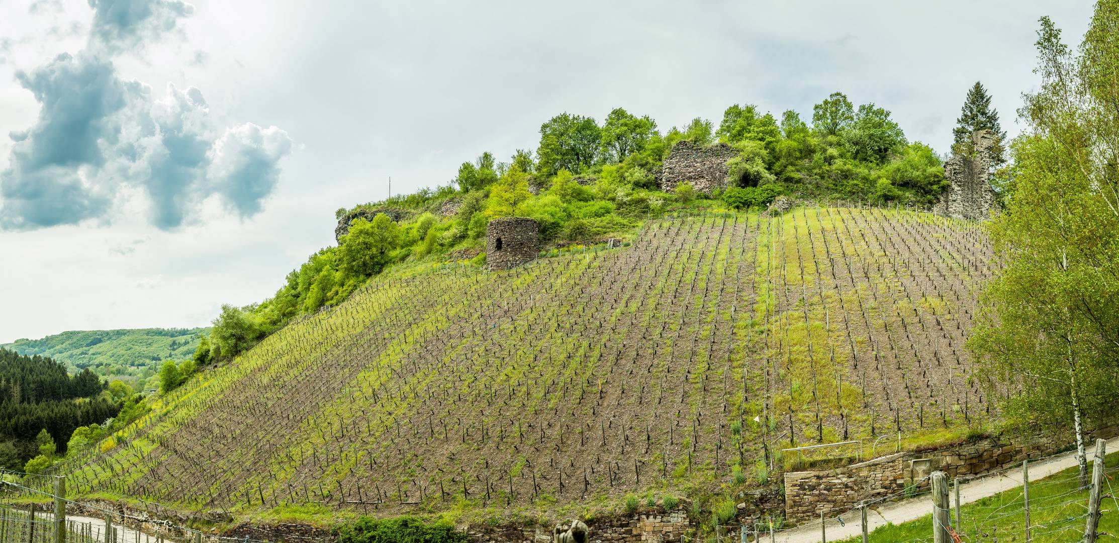 Burgruine Schlossböckelheim (1)