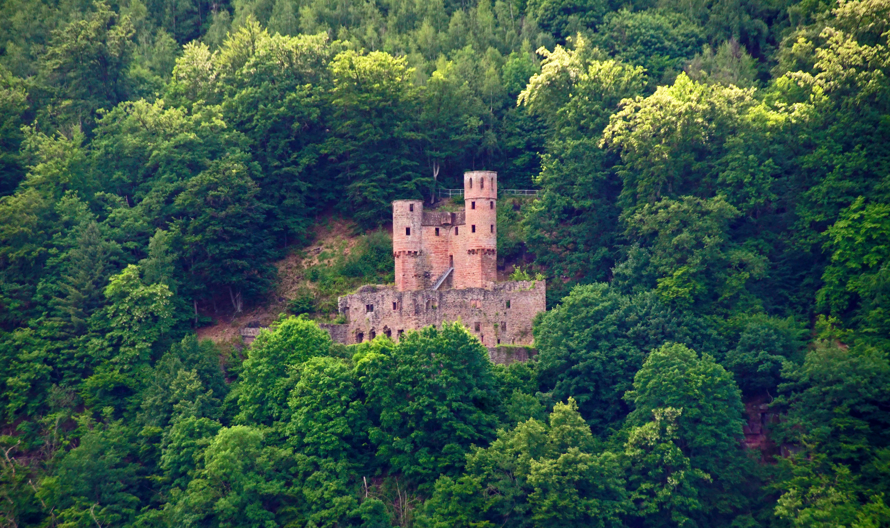 Burgruine Schwalbennest