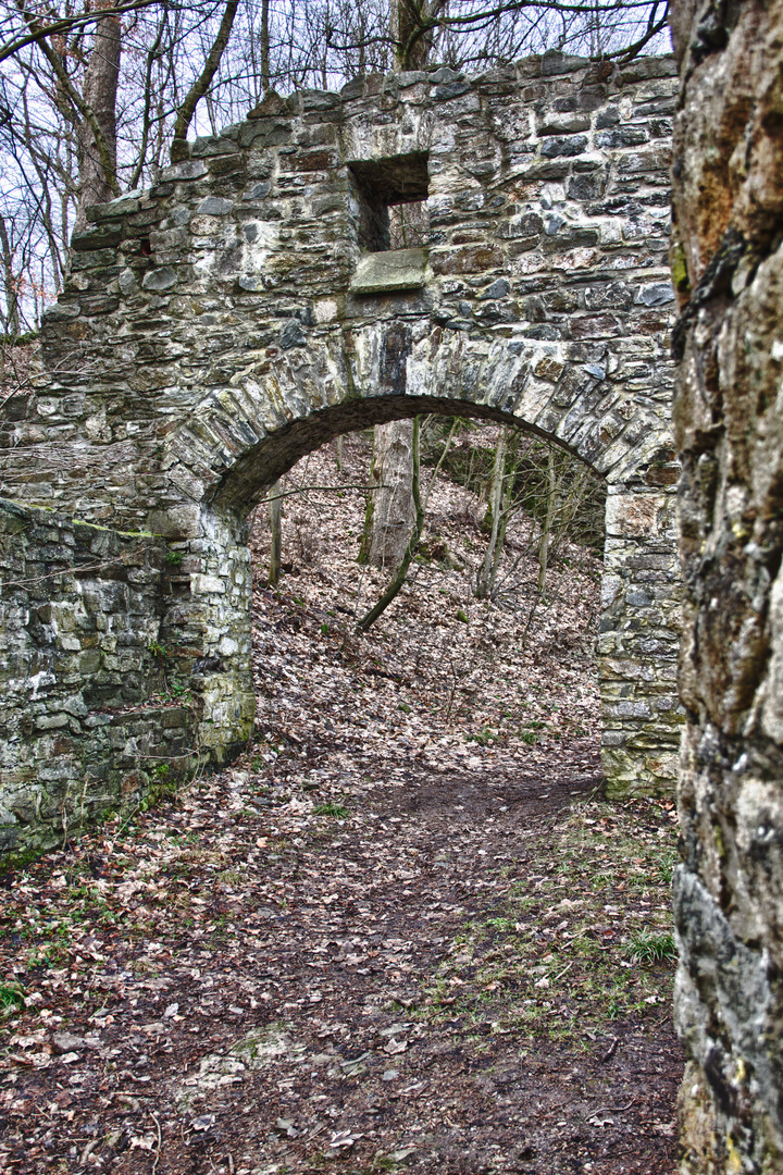 Burgruine Schwarzenberg