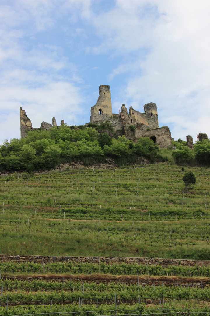 Burgruine Senftenberg Foto & Bild park, world, burg Bilder auf