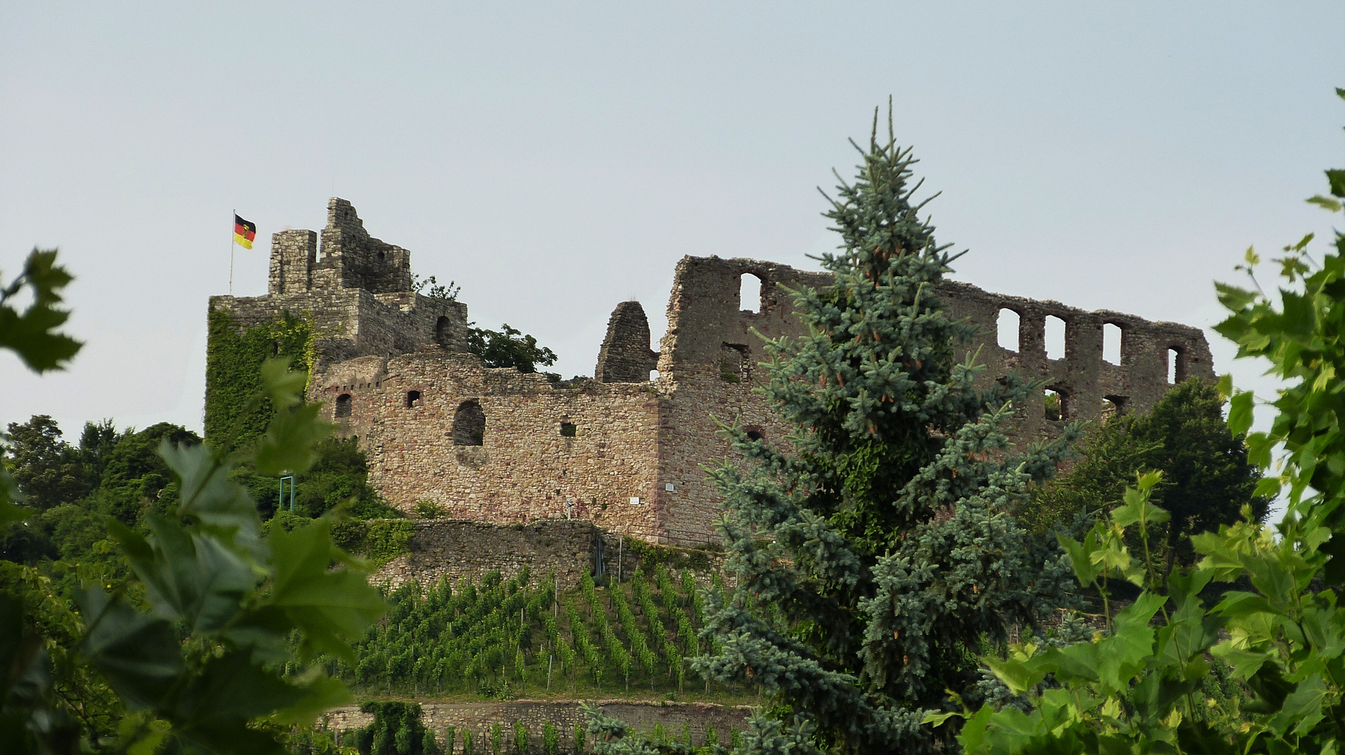 Burgruine Staufen