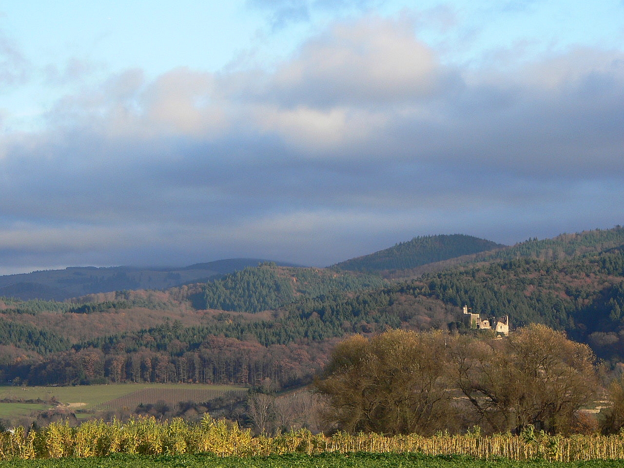 Burgruine Staufen und viel Tabak