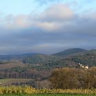 Burgruine Staufen und viel Tabak