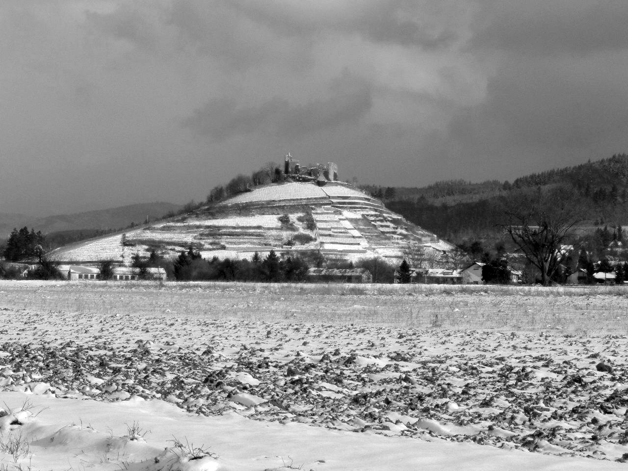 Burgruine Staufen, Weinberg, Maisfeld