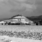 Burgruine Staufen, Weinberg, Maisfeld