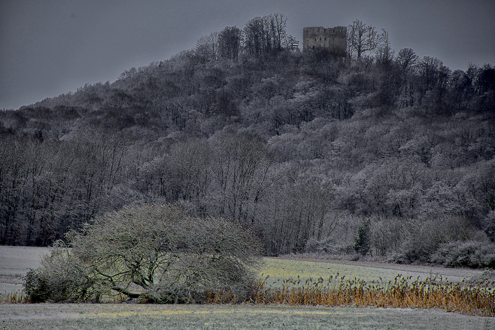 Burgruine Straufhain 