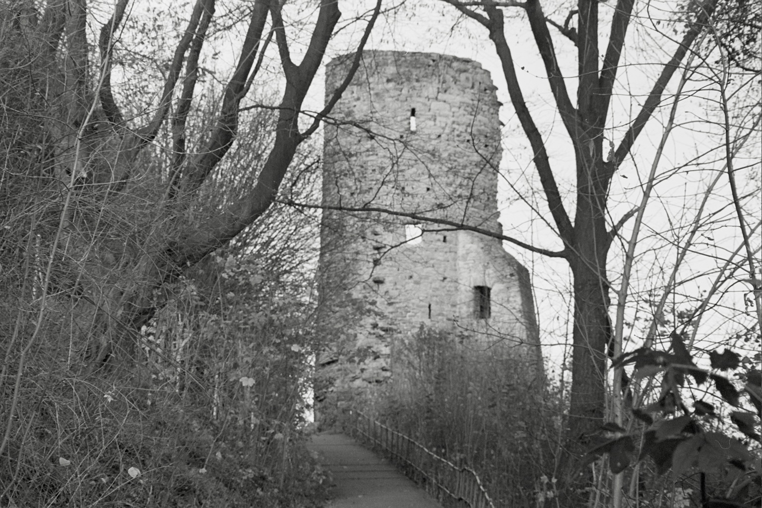 Burgruine Volmarstein im November