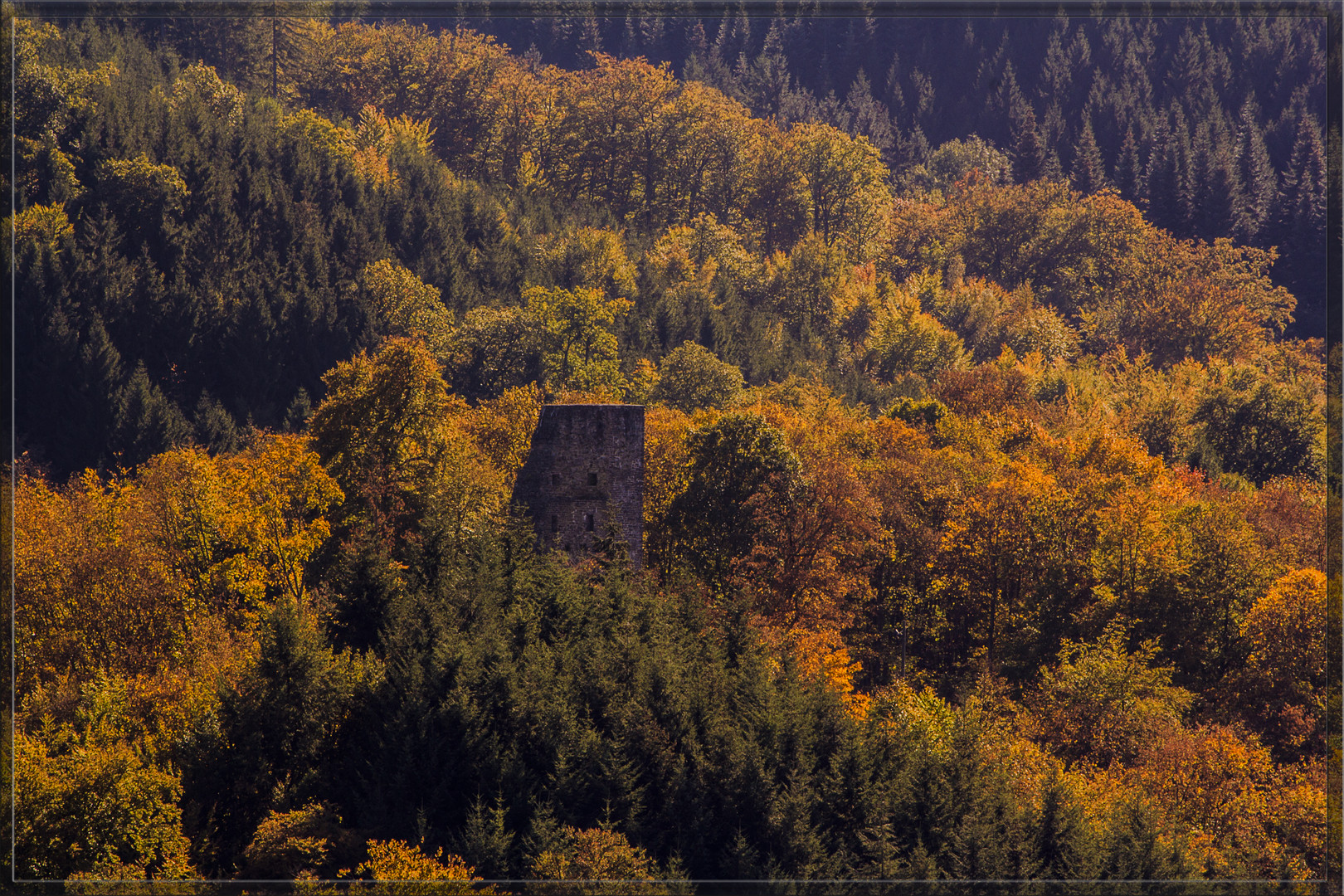 Burgruine Waldenburg - Attendorn - Sauerland